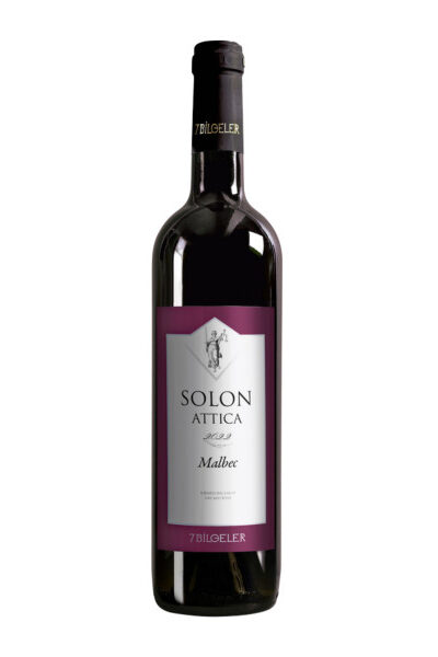 7 Bilgeler Solon Attica
