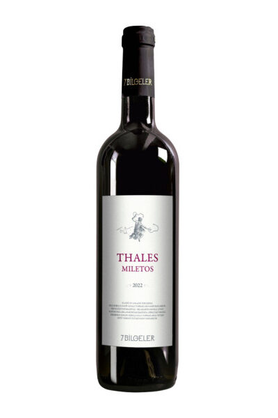 7 Bilgeler Thales Miletos