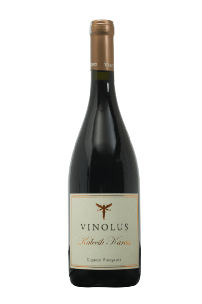 Vinolus Kalecik Karası